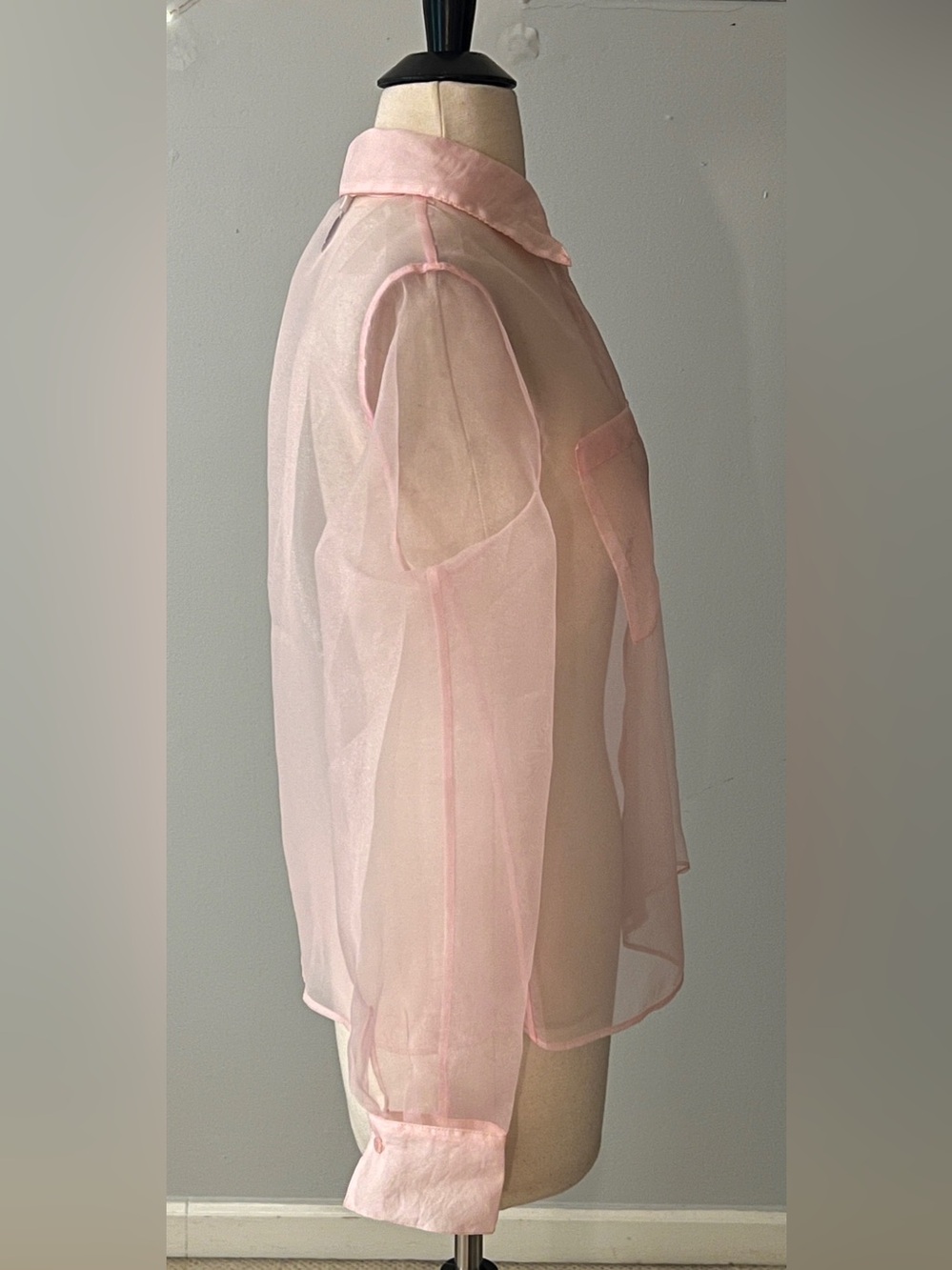 Rachel Zoe Sheer Pink Organza Button Front Blouse Size Small - Picture 5 of 10